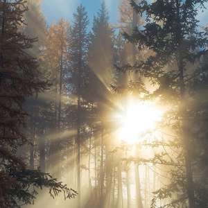 无尽❌裸体❌触手❌视频
